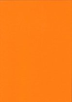 Gekleurd papier - Oranje - 220 gram - 3 x 6 vel - A4 - 21 x 29,7 cm