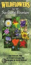 Wildflowers of the San Gabriel Mountains