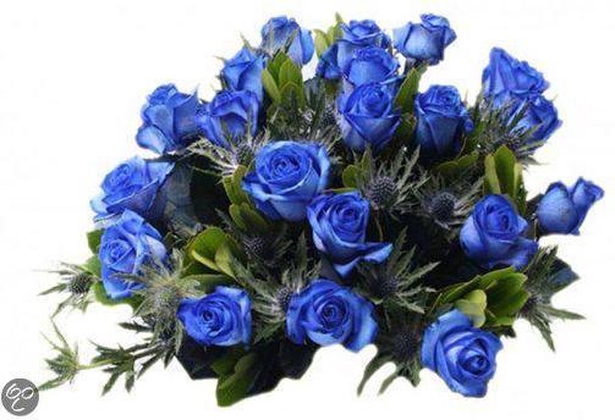 bol.com | Boeket 10 blauwe rozen