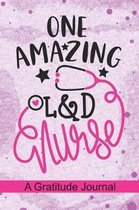 One Amazing L&D Nurse - A Gratitude Journal