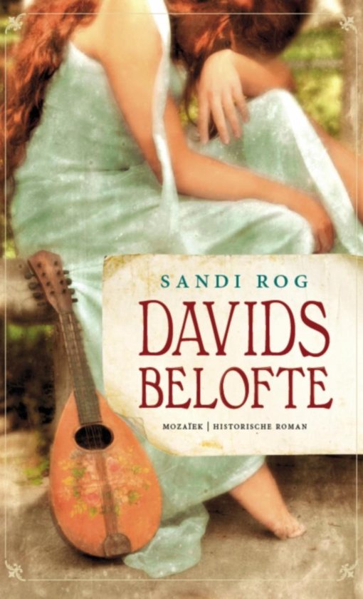 Cover van het boek 'Davids belofte' van Sandi Rog