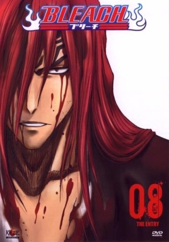 Bleach Vol.8