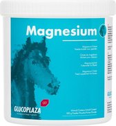 GlucoPlaza Magnesium - 500 gram