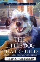 The Little Dog That Could