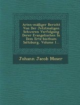 Acten-Massiger Bericht Von Der Jetztmaligen Schweren Verfolgung Derer Evangelischen in Dem Ertz-Bisthum Saltzburg, Volume 1...