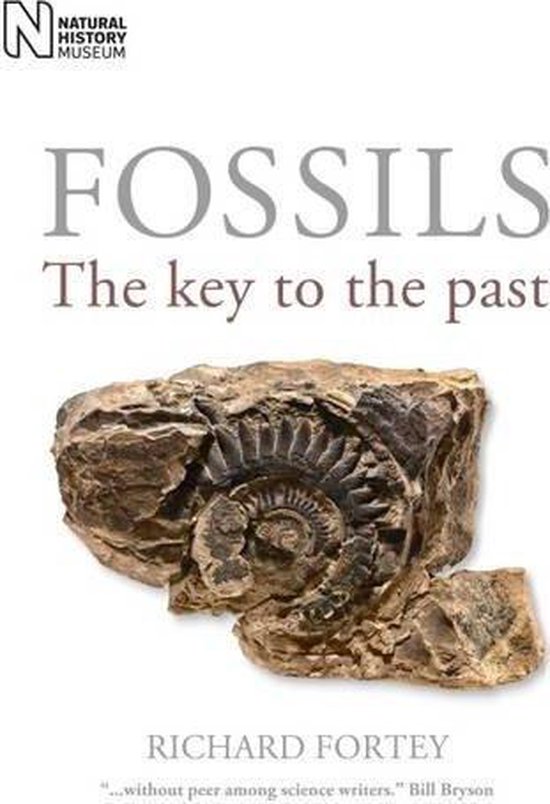 Fossils - cover