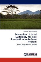 Evaluation of Land Suitability for Rice Production in Amhara Region