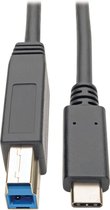 Tripp-Lite U422-006 USB Type-C to USB Type-B Cable - 5 Gbps, USB-C (3.1) to USB-B (3.0), M/M, Thunderbolt 3, 6 ft. TrippLite