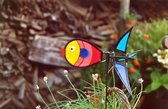 Didak Kites Windmill Tropical Fish Mini - 45x25 Cm