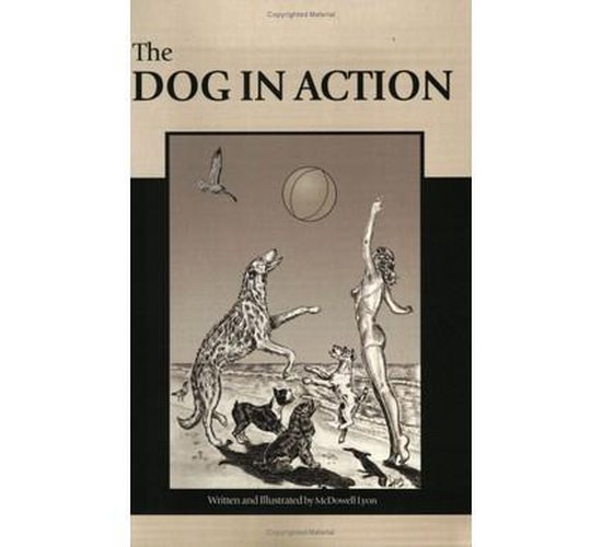 THE DOG IN ACTION - cover