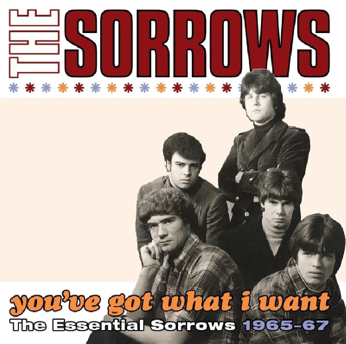 You'Ve Got What I Want The Essential Sorrows 1965