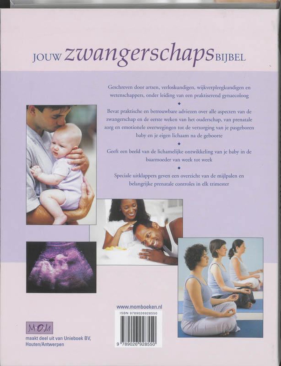Jouw Zwangerschapsbijbel - back cover