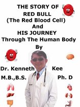 The Story Of Red Bull The Red Blood Cell And His Journey Through The Human Body