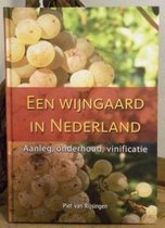Een wijngaard in Nederland