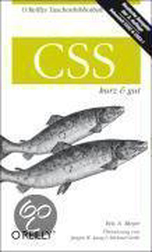 CSS