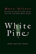 White Pine