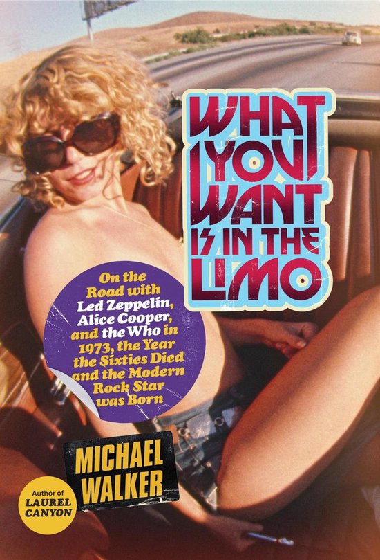 What You Want Is in the Limo - cover