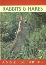 Rabbits and Hares