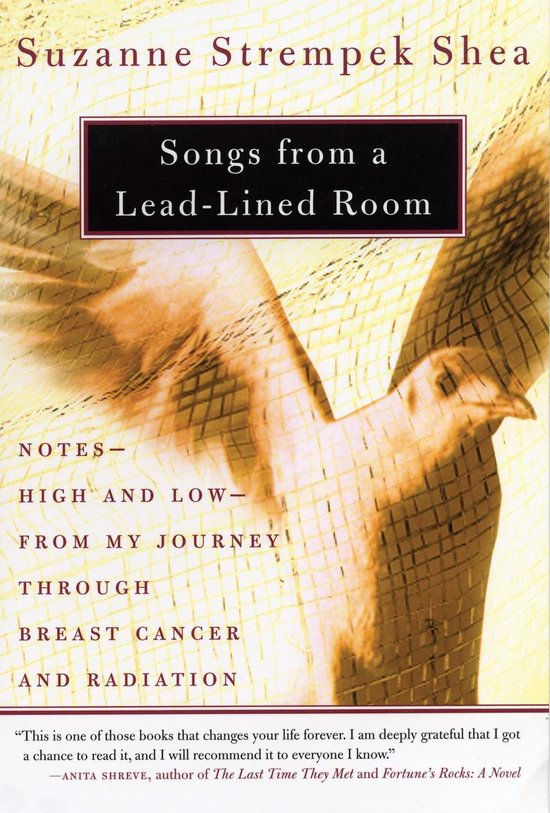 Songs from a Lead-Lined Room - cover