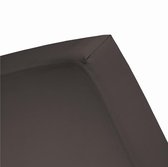 Damai - Hoeslaken (tot 25 cm) - Katoen - 80/90 x 220 cm - Brownie