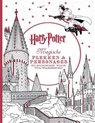 foto van Harry Potter magische plekken en personages