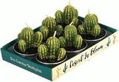 Cactus waxinelichtjes (set van 6 stuks)
