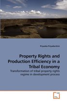 Property Rights and Production Efficiency in a Tribal Economy