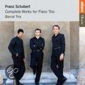 Complete Works For  Piano Trio/David Trio