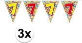 3x  Mini vlaggenlijn / slinger - verjaardag 7 jaar - 300 cm