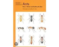 Ants
