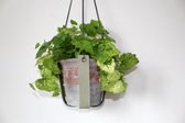 Leren plantenhanger| Groen suéde leer| Handgemaakt | by LEef