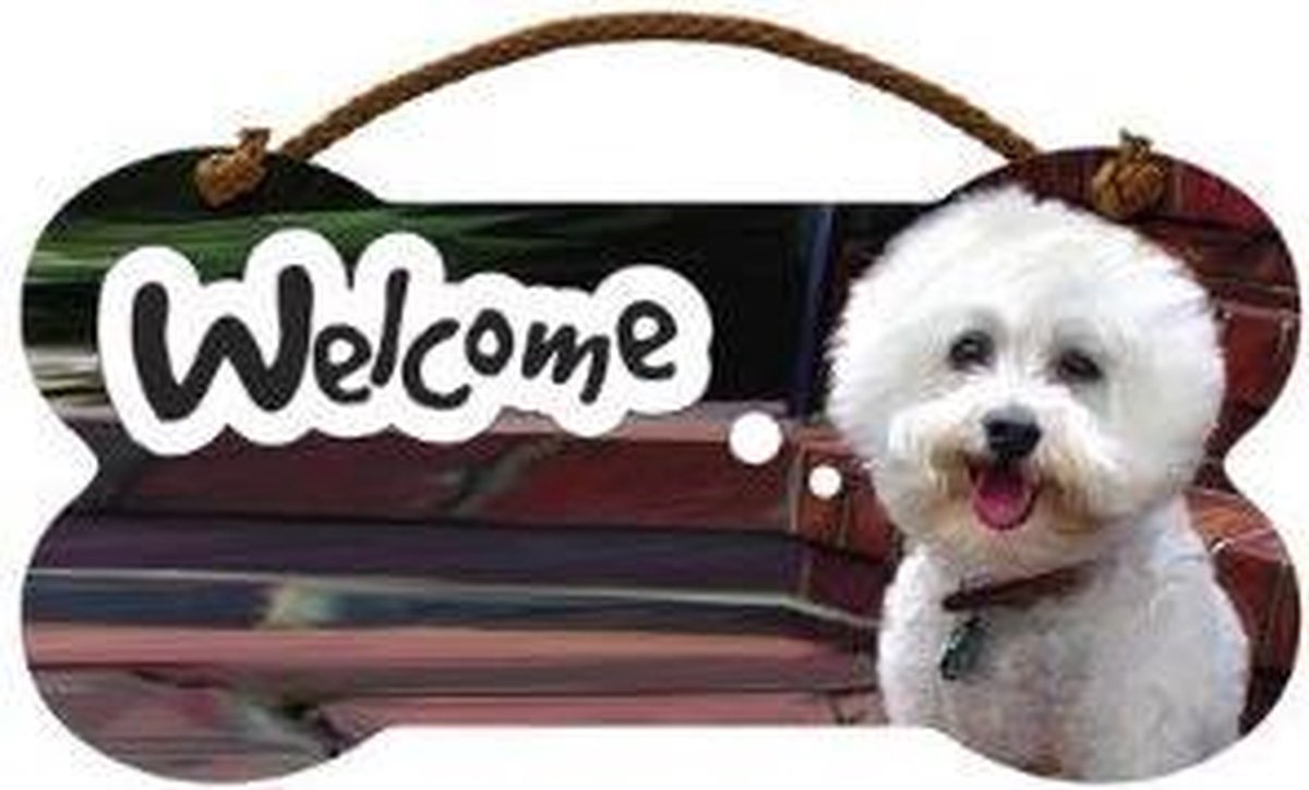 bordje - welcome - Bichon Frise