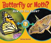 Which Animal Is Which?- Butterfly or Moth?