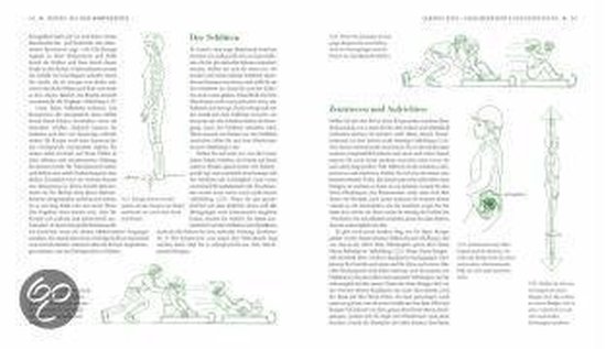 Reiten aus der Körpermitte | Sally Swift - cover