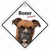 Boxer On Board