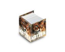 MiniCube. Katzen