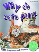 Why Do Cats Purr?