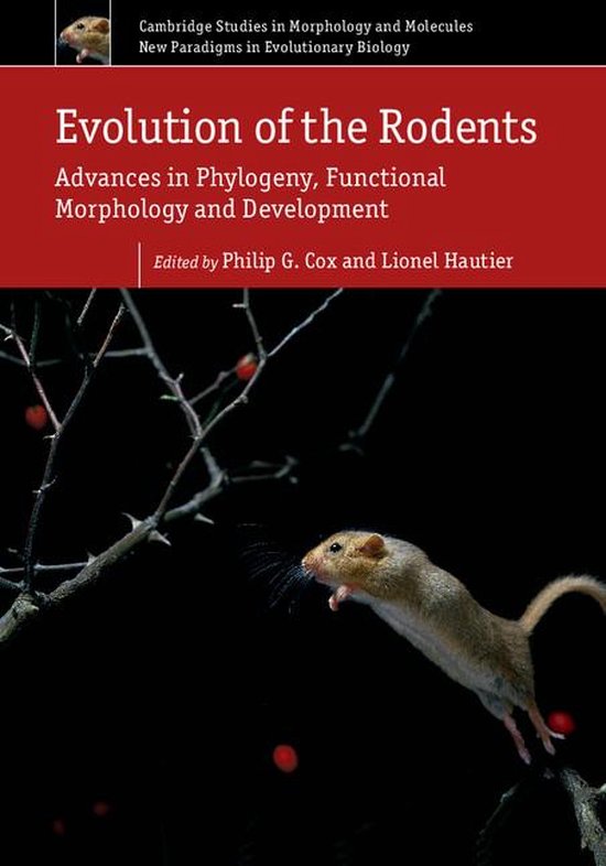 Cambridge Studies in Morphology and Molecules: New Paradigms ... - cover