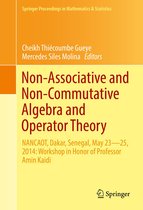 Springer Proceedings in Mathematics & Statistics 160 - Non-Associative and Non-Commutative Algebra and Operator Theory