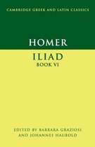 Homer Iliad Book VI