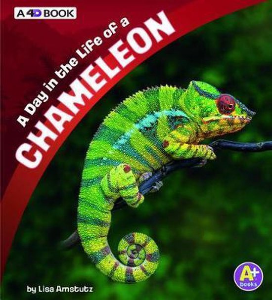A Day in the Life-A Day in the Life of a Chameleon: A 4D Book