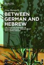 Between German and Hebrew: The Counterlanguages of Gershom Scholem, Werner Kraft and Ludwig Strauss