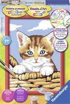 Ravensburger Schilderen op nummer Kat in de mand - Hobbypakket