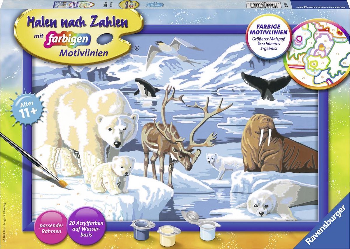 Ravensburger Schilderen op nummer Dieren van de Arctis - Hobbypakket