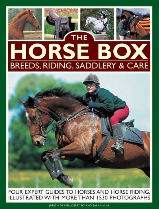 Horse Box: Breeds, Riding, Saddlery & Care - cover