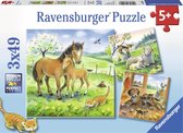 Ravensburger puzzel Knuffeltijd - 3x49 stukjes - kinderpuzzel