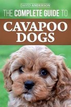 The Complete Guide to Cavapoo Dogs