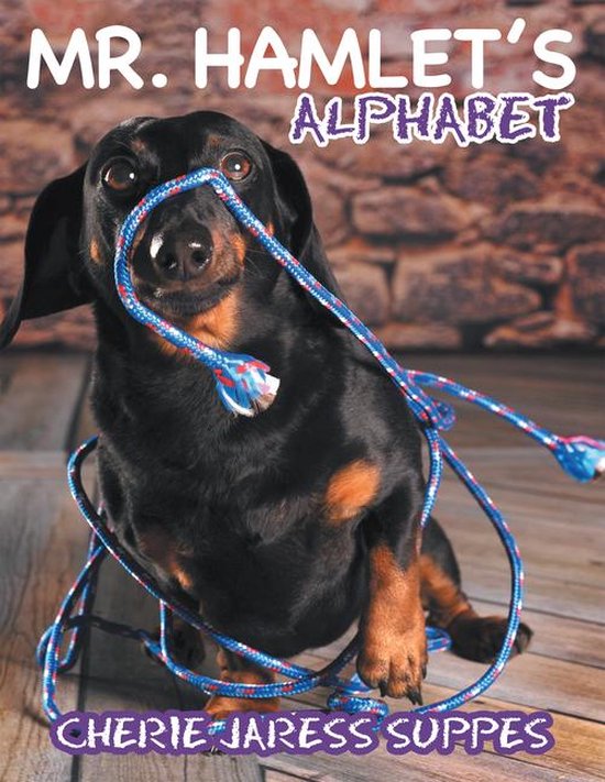Mr. Hamlet’S Alphabet - cover
