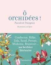 Jardin - Ô orchidées
