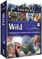 Wild Animal Rescues